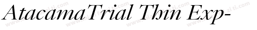 AtacamaTrial Thin Exp字体转换